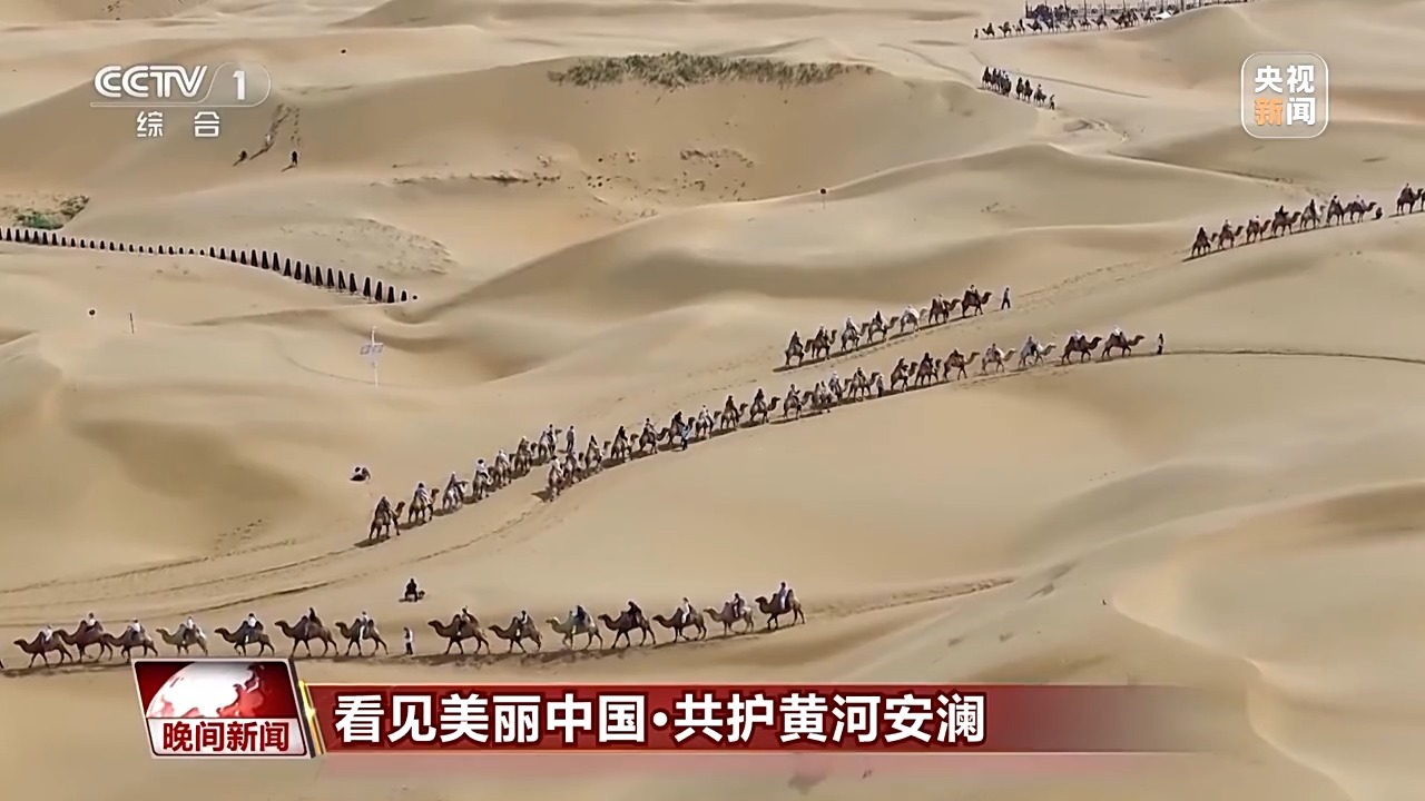 把斷流之痛化作生態之美 母親河生態蛻變向“綠”而行