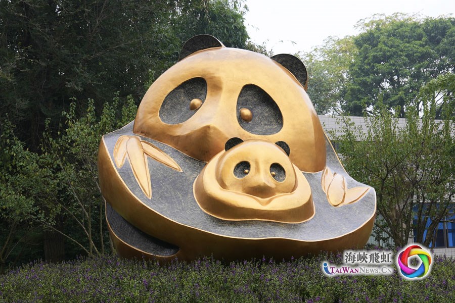 台灣青年：我們都愛大熊貓_fororder_圖5