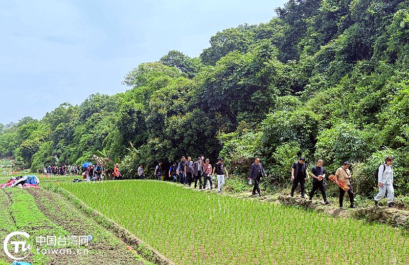 閩臺翁氏宗親共祭先祖 血脈綿延六百年再續親緣