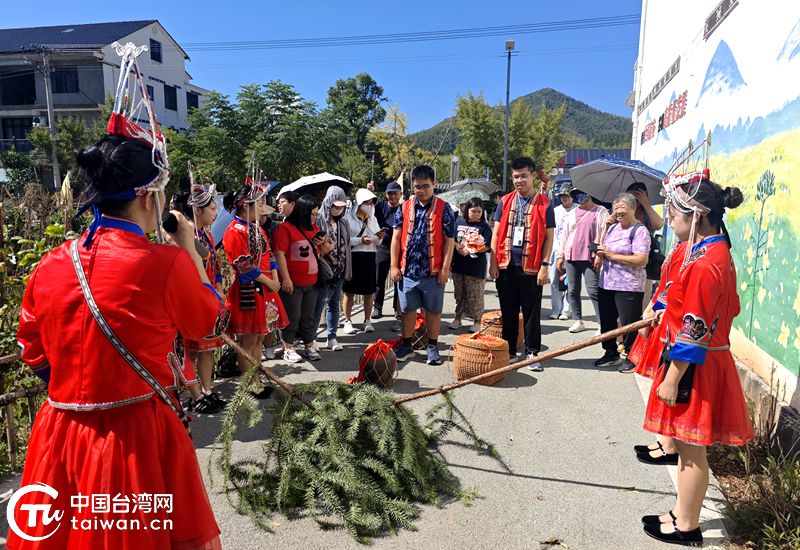臺青龍泉文化行：共赴非遺之約 續寫兩岸深情