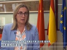 國際人士：高市早苗錯誤言論嚴重損害地區穩定