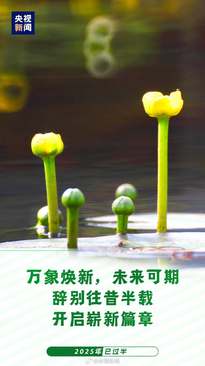 2025已過半：願你每天進步 不負時光