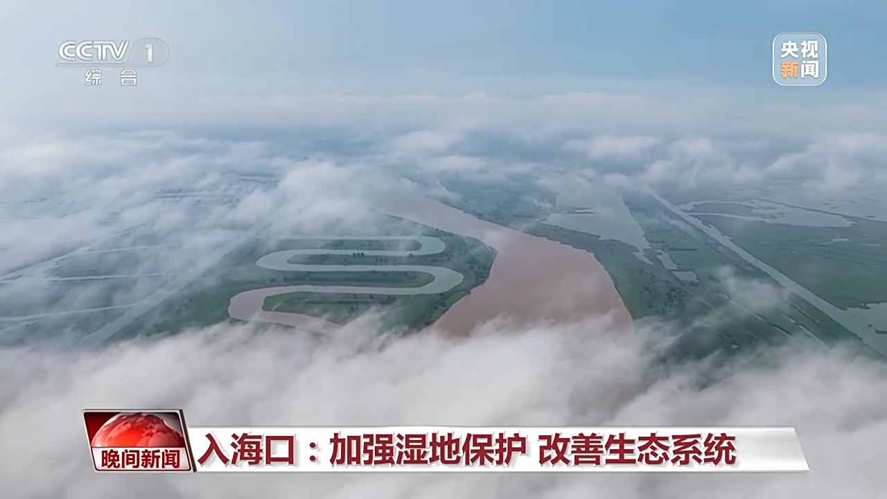 把斷流之痛化作生態之美 母親河生態蛻變向“綠”而行