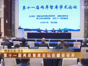 【海峽兩岸】：第十一屆兩岸智庫論壇在雄安召開