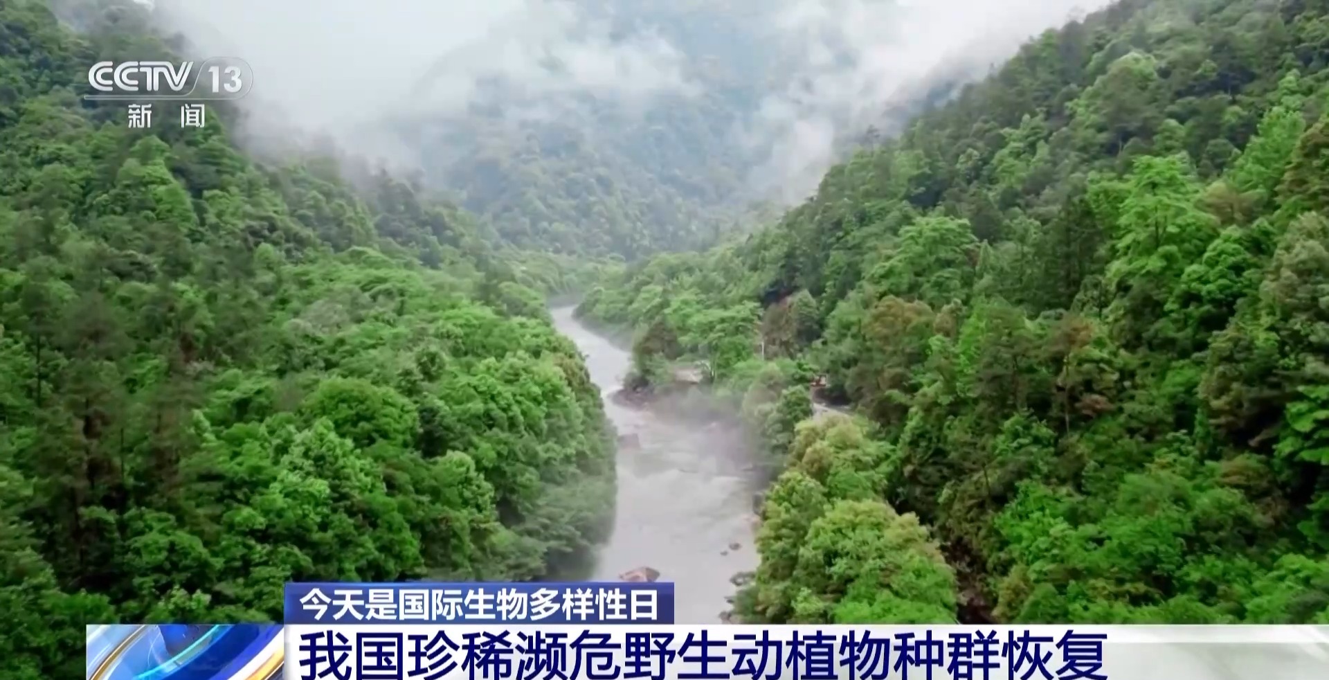 中國生物多樣性保護成效如何？這份“成績單”亮了