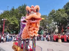 澳門龍獅齊舞賀新春 民俗表演年味濃