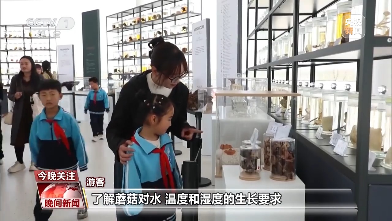 懸崖上的咖啡館、蘑菇嘗鮮遊......清明假期這些旅行玩法很有趣