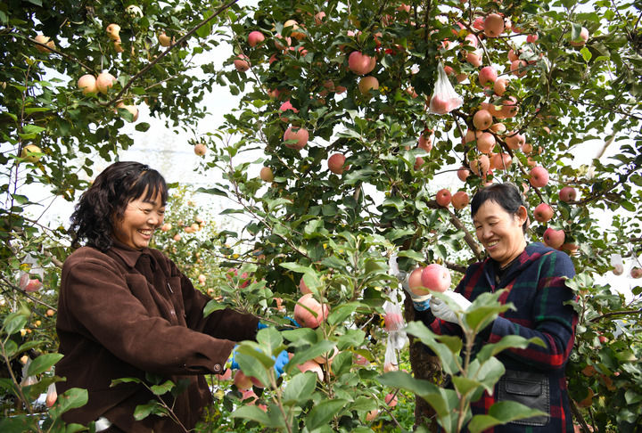 江山壯闊萬象新——習近平總書記引領中國式現代化新征程 江山壯闊萬象新——習近平總書記引領中國式現代化新征程