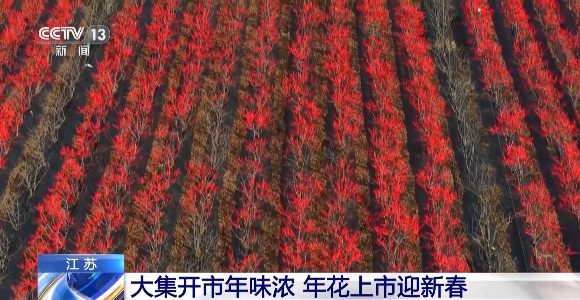 鬧社火、賞花燈、逛大集 新春將至各地年味漸濃