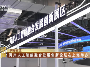 【海峽兩岸】兩岸人工智能融合發展創新論壇在上海舉辦