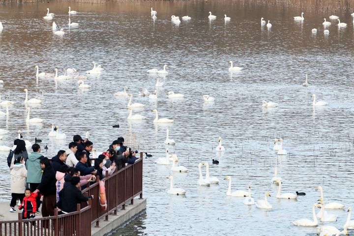 江山壯闊萬象新——習近平總書記引領中國式現代化新征程 江山壯闊萬象新——習近平總書記引領中國式現代化新征程