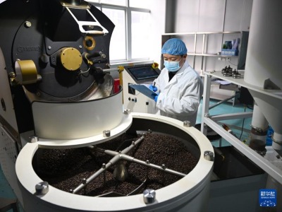 黃河岸邊飄來非洲咖啡香