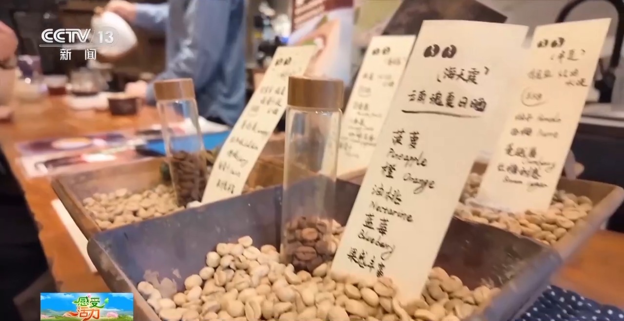 “啡”比尋常 上海人早晨的那杯咖啡是剛需