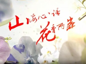 雲南首部兩岸花卉文旅微短劇《山海心語 花香兩岸》（第八集）