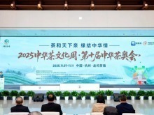 十載茶奧鑄華章 兩岸同心向未來——2025中華茶文化周暨第十屆中華茶奧會圓滿落幕