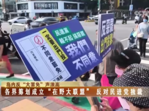 【海峽兩岸】島內反“大罷免”聲浪高  各界籌劃成立“在野大聯盟”  反對民進黨獨裁