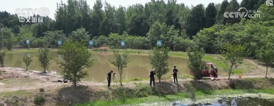 中國旅遊日丨“旅遊+”模式激活全鏈條消費 立體化體驗打造文旅新場景