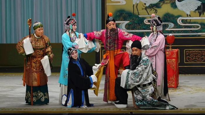 台灣觀眾“我們都愛陳麗君”背後 台灣觀眾“我們都愛陳麗君”背後