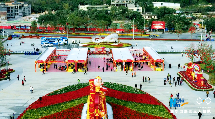 “年味”漸濃 無人機帶你逛花市