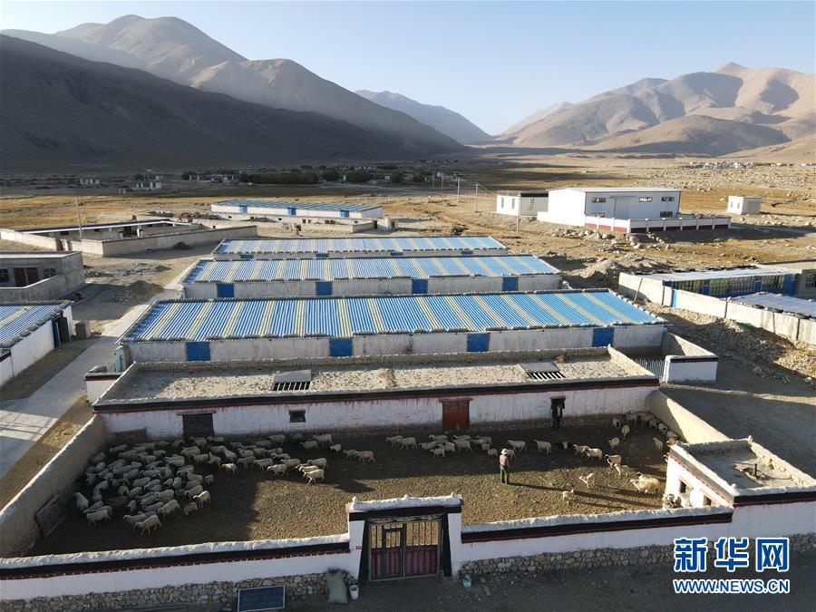 珠峰腳下宗措村：“向陽而生”的新過法
