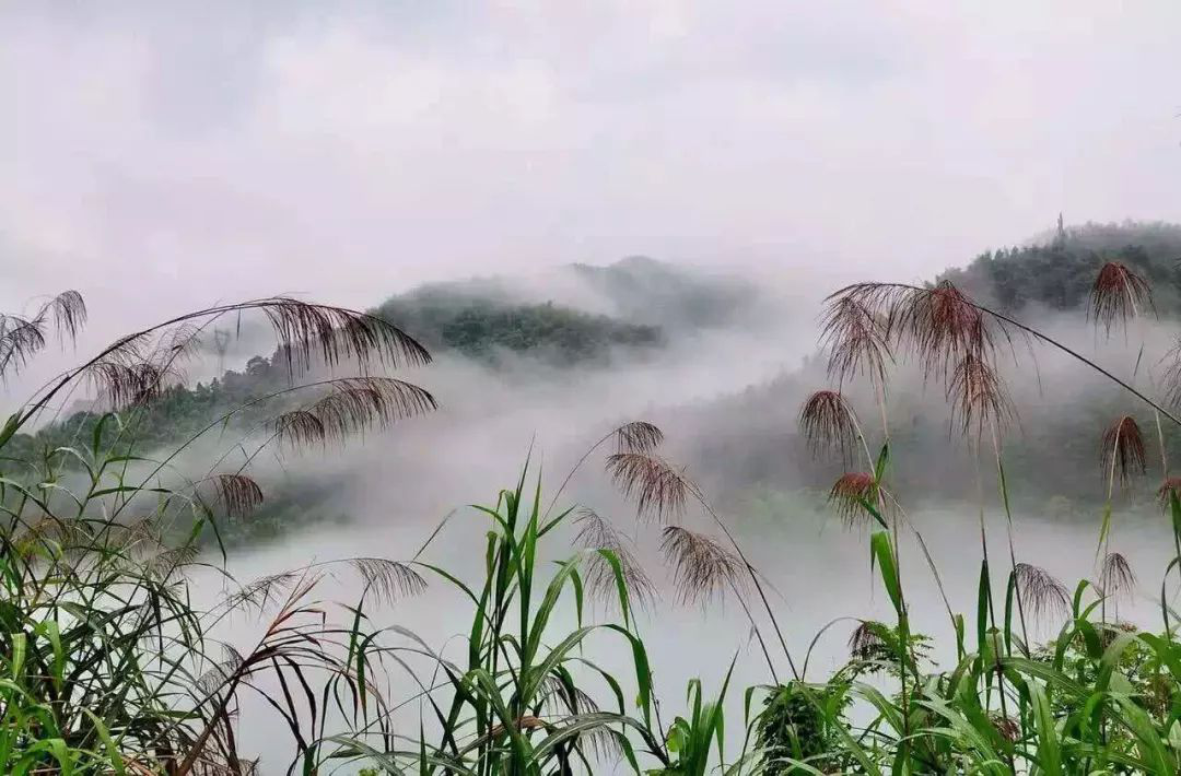 雲遊中國 | 東江湖：近水遙山皆有情