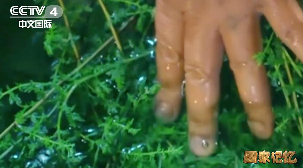 從鼠疫開始，無雙國士為中國百年抗“疫”所做的貢獻，就在這部紀錄片裏