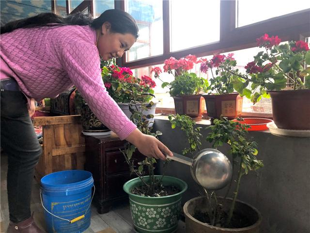 走進代格：探訪高海拔藏區內的科技新村
