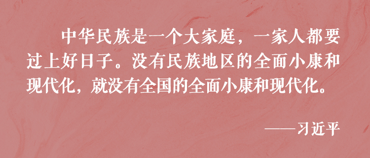 總書記傾心澆灌民族團結進步之花