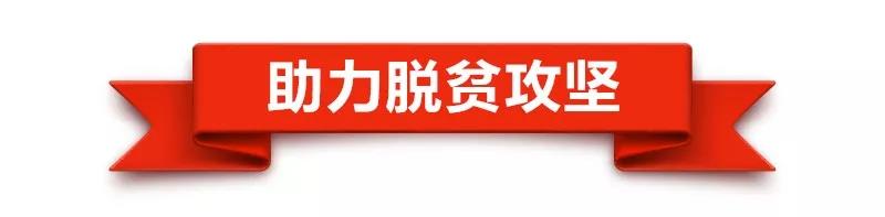 播種新希望，習近平的寄語情深意長