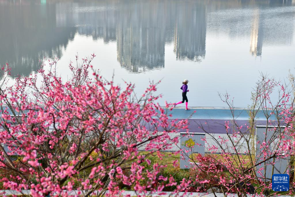 鶯鳴一兩囀，花樹數重開