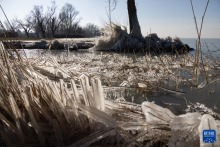 匈牙利：巴拉頓湖岸的冰柱景觀