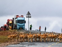 青藏公路上的生命禮讚