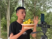 杏子 西瓜 櫻桃……新疆瓜果飄香 商戶搶“鮮”收購