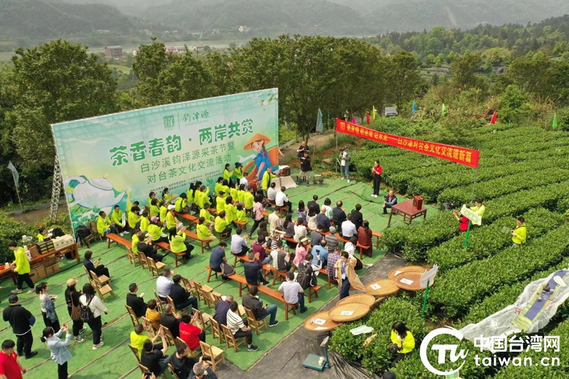 行走在資江邊，兩岸媒體共飲一杯安化黑茶