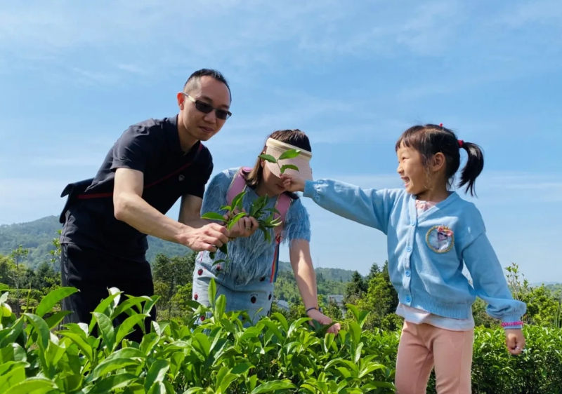 茶葉、茶飲、茶文化……一杯茶的N種玩法