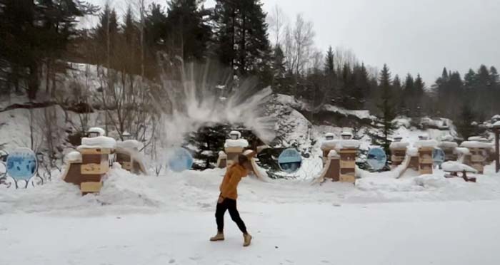 臺青東北行記——雪國初體驗