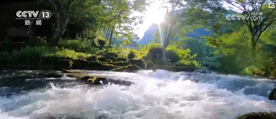 山清水秀引客來 綠水青山生態願景成為生活美景