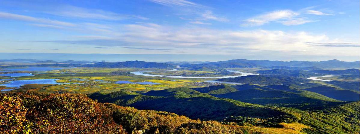 東北虎豹國家公園設立三週年：野生東北虎豹種群數量顯著增加