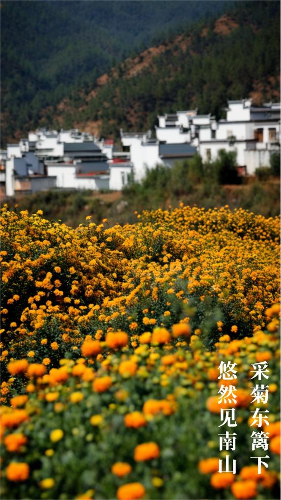 AI繪古詩丨這些鄉村“治愈係”美景，總有一處戳到你！