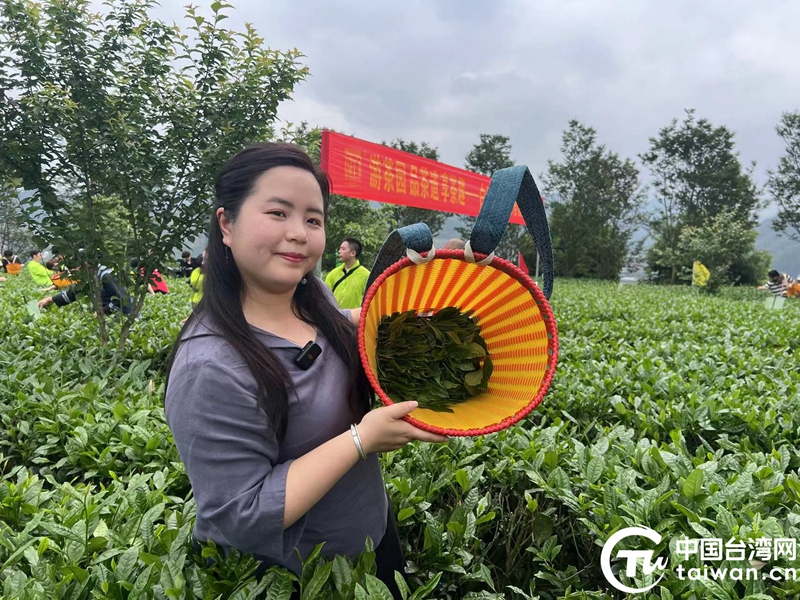 行走在資江邊，兩岸媒體共飲一杯安化黑茶