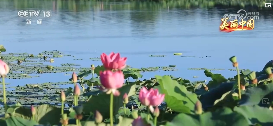 山清水秀引客來 綠水青山生態願景成為生活美景