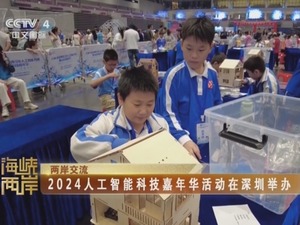 【海峽兩岸】2024人工智能科技嘉年華活動在深圳舉辦