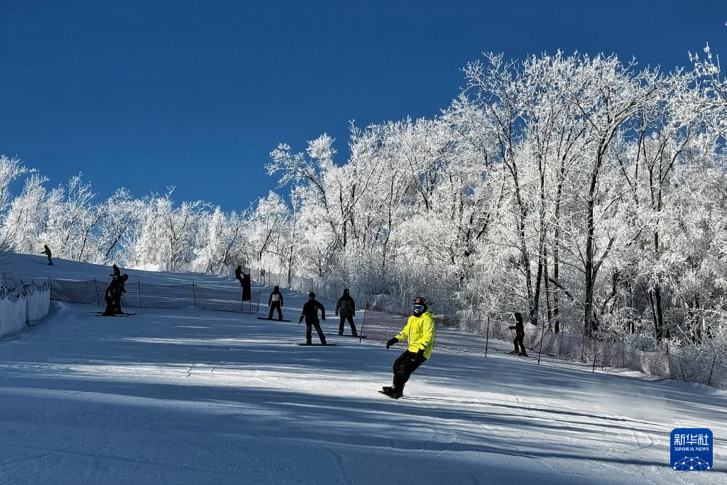 從阿爾卑斯山到長白山：“世界冰雪黃金緯度帶”冰雪經濟正“火熱”