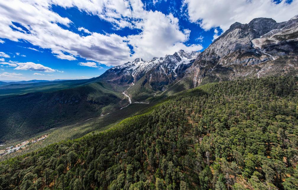 從雪山到森林，中國科學家保護生物多樣性“天堂”