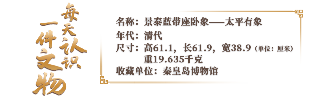 數不過來了！這頭大象到底裝了多少祝福啊？