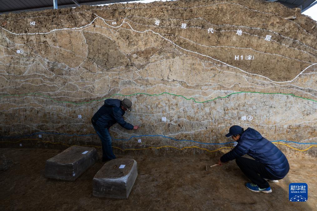 蓄水、灌溉、防洪兼備——湖北屈家嶺遺址發現距今5100年史前水利系統