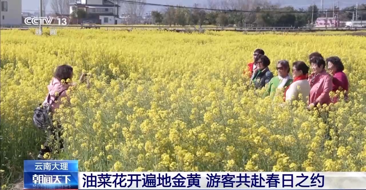 賞花去！開啟一場與“春日經濟”的“雙向奔赴”