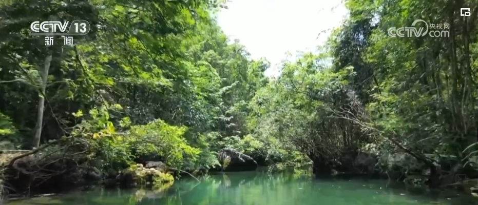 山清水秀引客來 綠水青山生態願景成為生活美景