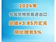 同比增長5%！2024年中國貨物貿易進出口總值43.85萬億元