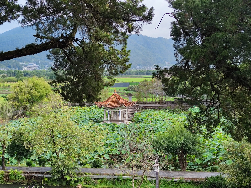 綠水青山引客來: 一座600年古鎮的生態實踐